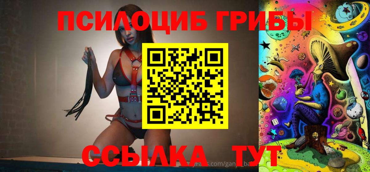 Псилоцибиновые грибы прущие грибы Россия