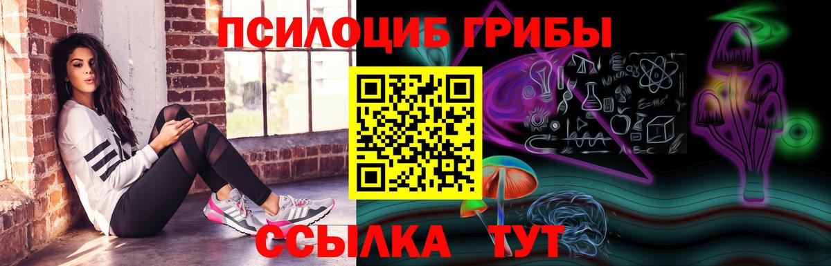 Псилоцибиновые грибы Cubensis  Галлюциногенные грибы Psilocybine cubensis  Вход с VPN  Россия 